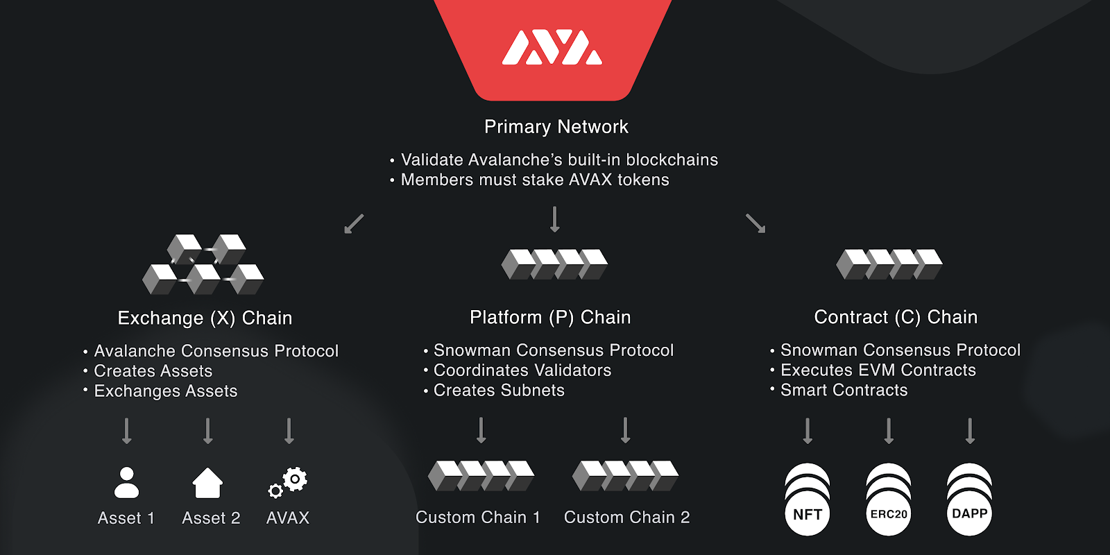 Primary network